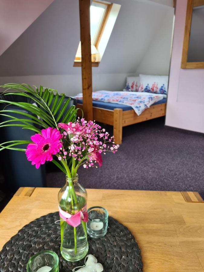 Apartment Schneestern Suhl Zewnętrze zdjęcie